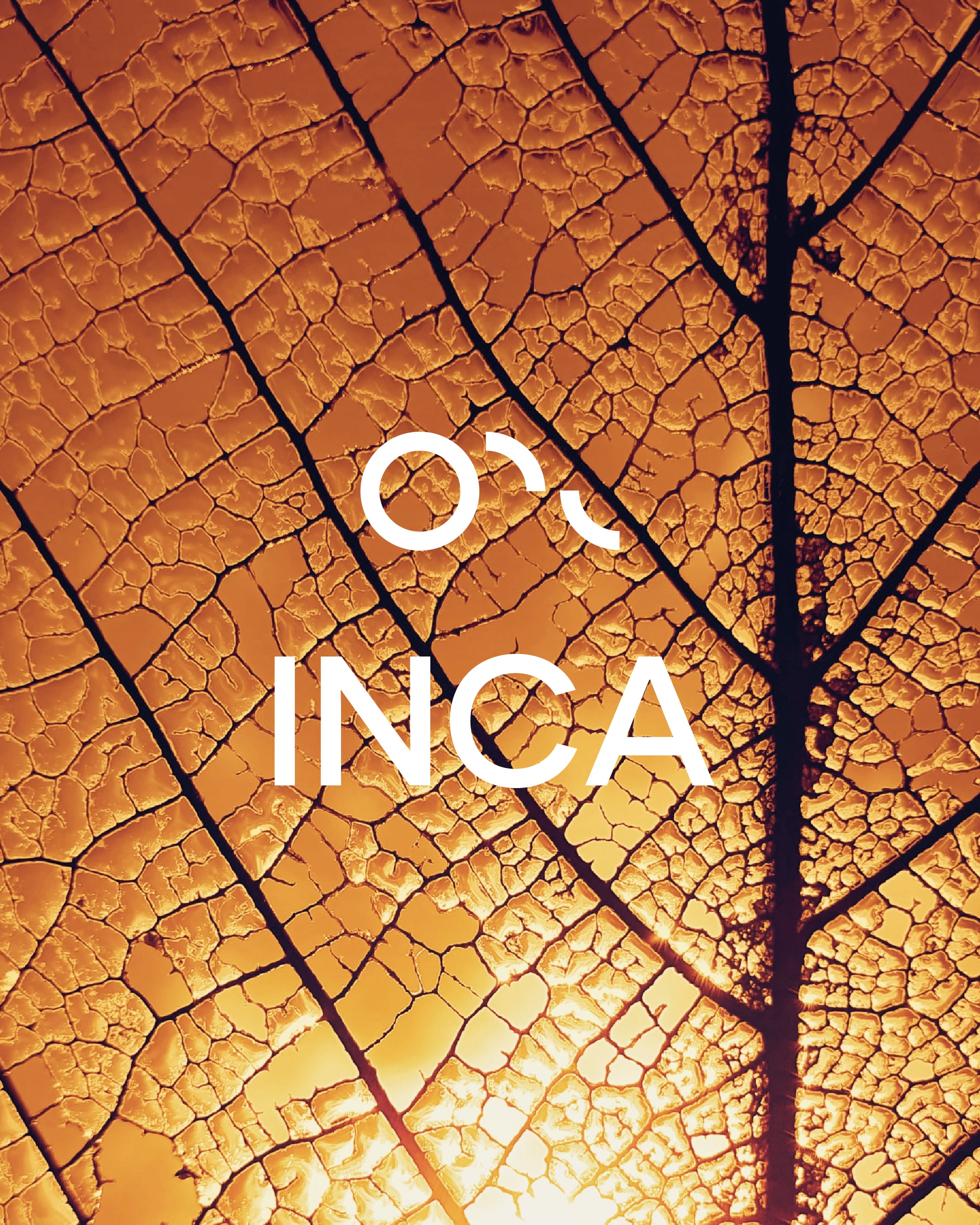 OPC Inca Line Intro