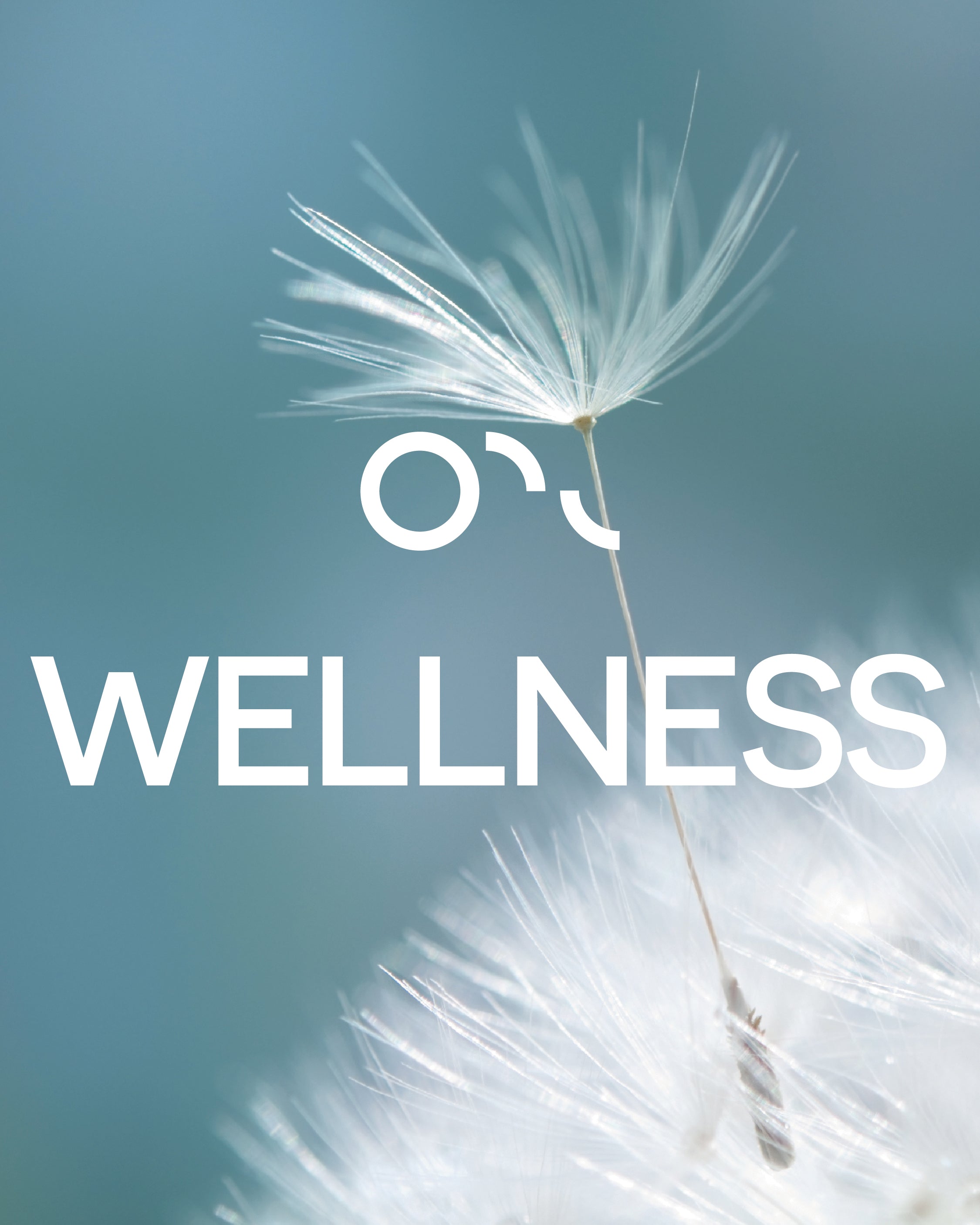 Kits de introducción al bienestar