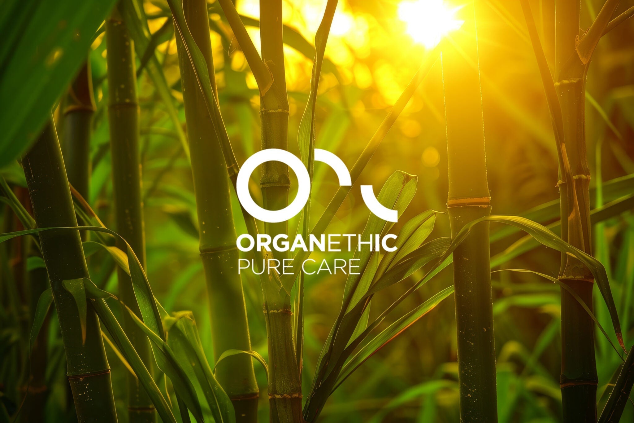 Organethic Pure Care's New Green Packaging for Aster Line