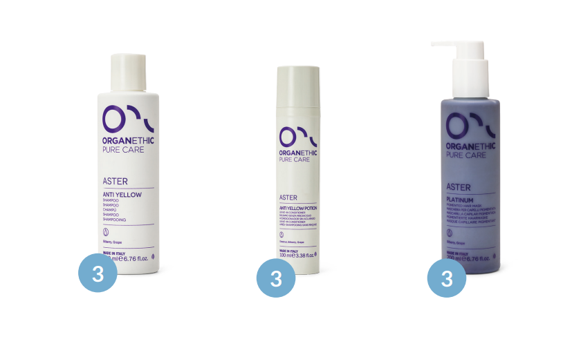 Aster Blonde Radiance Kit